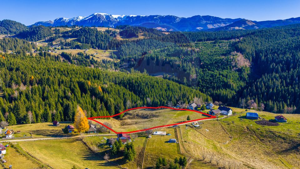 COMISION 0% Teren 13,800mp Fundatica / Intravilan