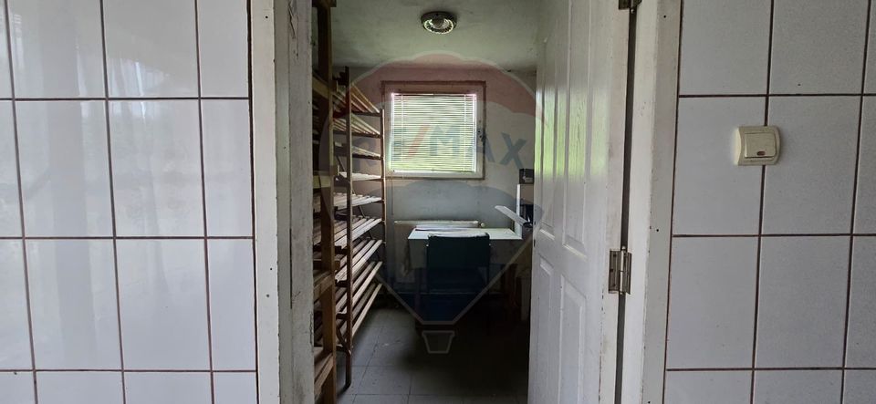 10 room House / Villa for sale