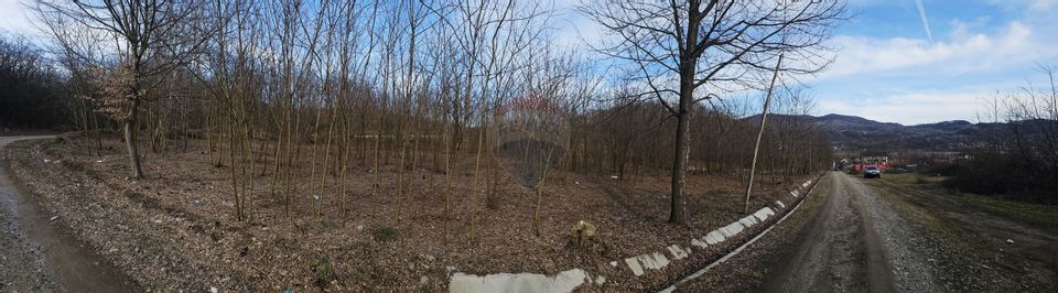 Land 2,714sqm Bujoreni / Strada Gura Vaii