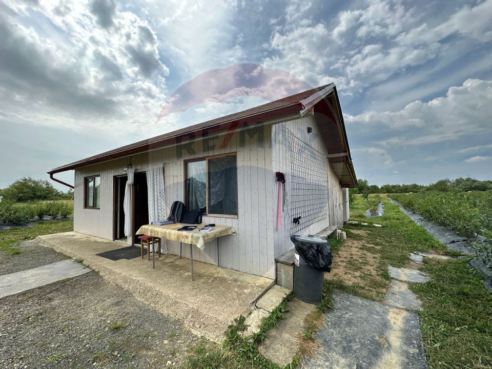 Land 29,656sqm Bozanta Mica / Strada Deva