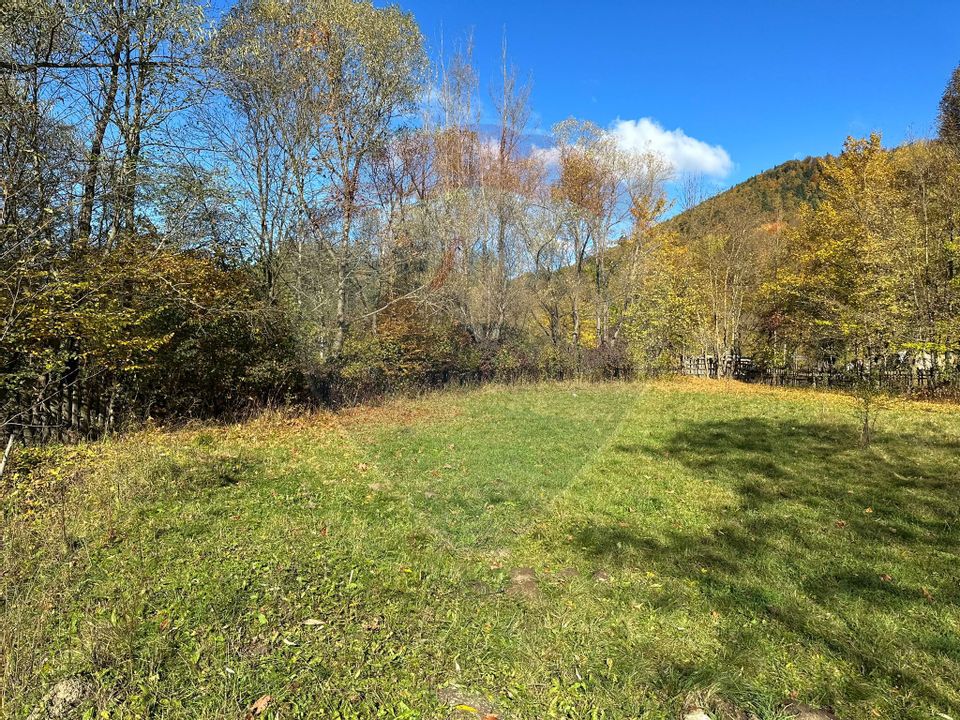 Land 1,350sqm Garcina / Strada Cuejdiului