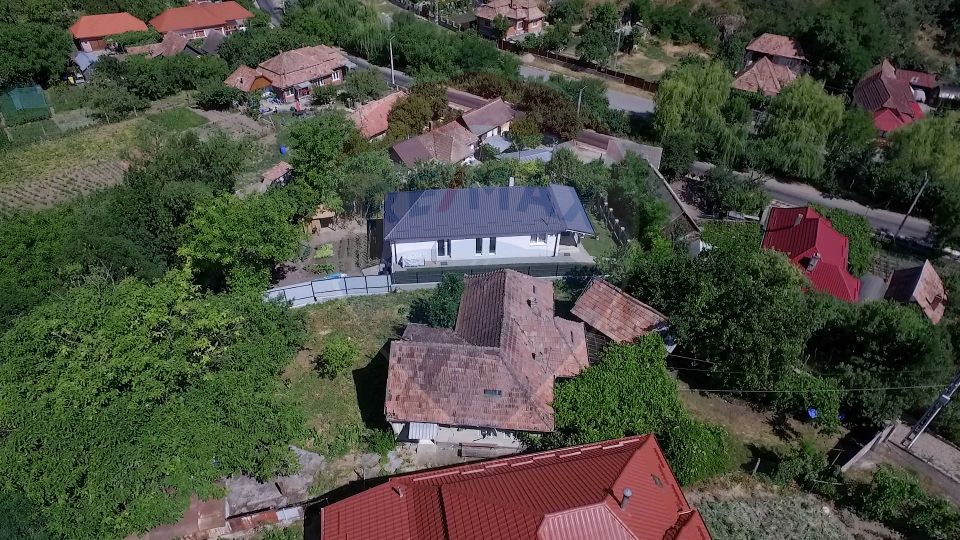 Casa cu gradina de vanzare in Copaceni