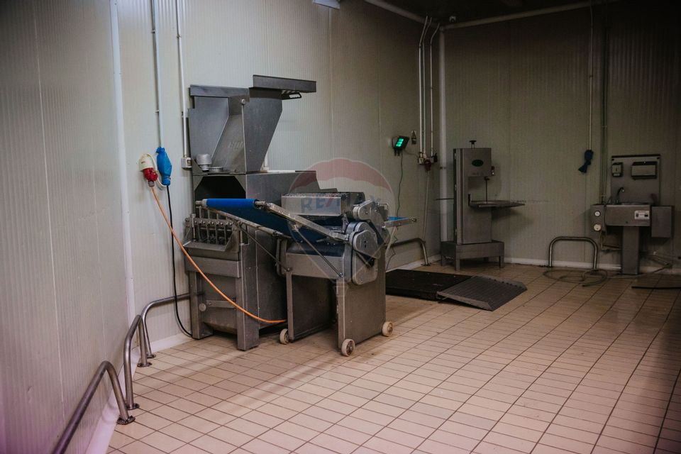 De vânzare AFACERE la cheie--CARMANGERIE--ABATOR--PREPARARE MEZELURI