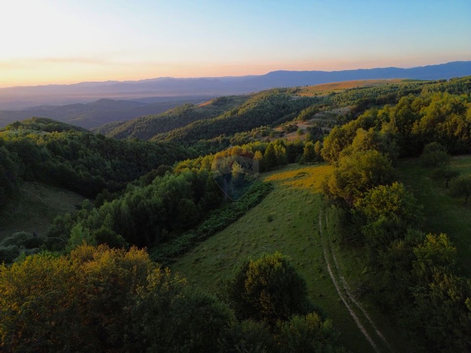 DE VANZARE CASA CU SUFELT SI ISTORIE