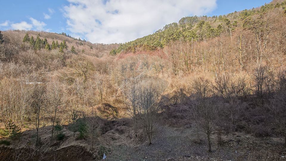 2 room Apartment for rent, Racadau area