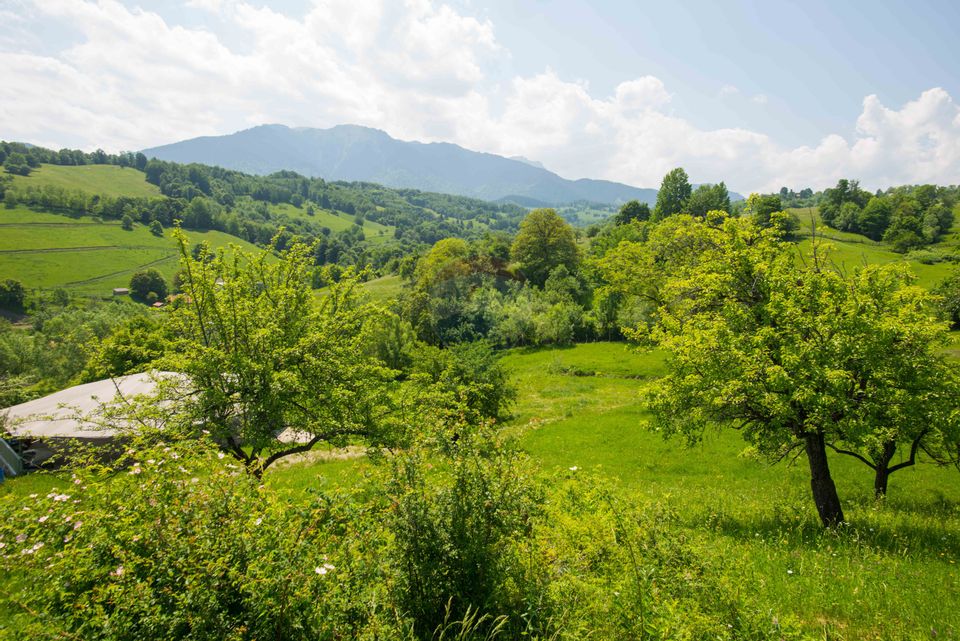 Land with utilities, 5,495sqm Bran - panoramic view, near Bran Castle
