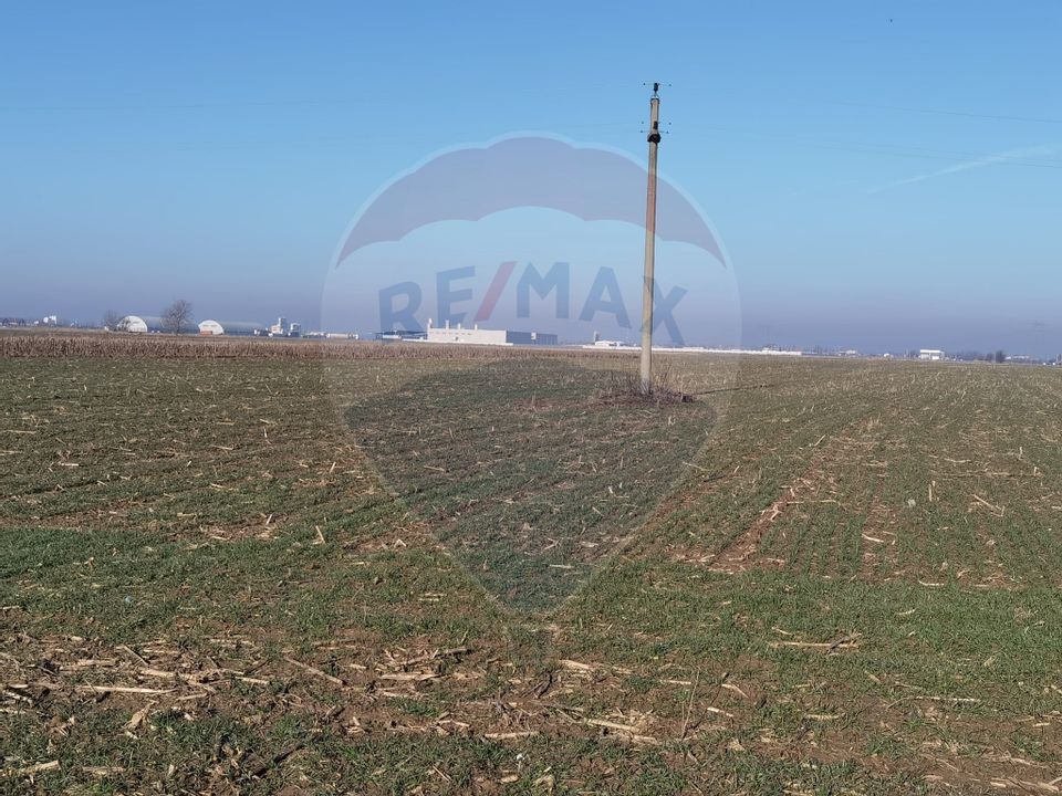 Arable land 7500 sqm | Bolintin-Vale / Poarta Luncii Street