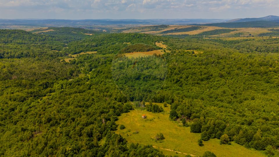 Land 981sqm Grid / Prelungirea Fara nume