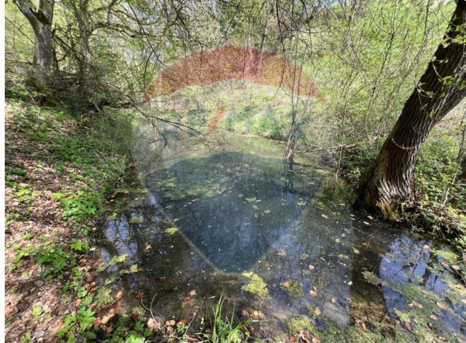 Casa veche cu teren ,Varmaga jud Hunedoara