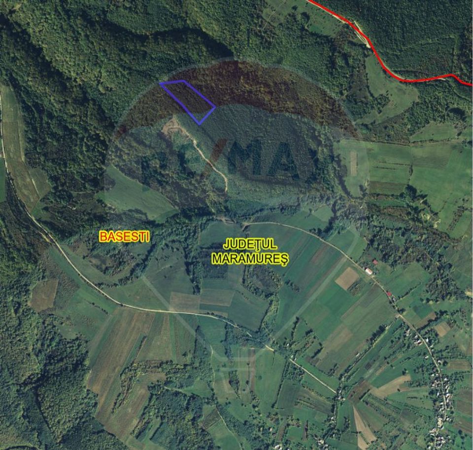 Pădure de vanzare cu zona de cabană Odesti