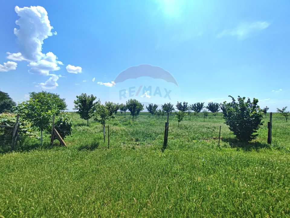 186sq.m Proprietate specială for sale