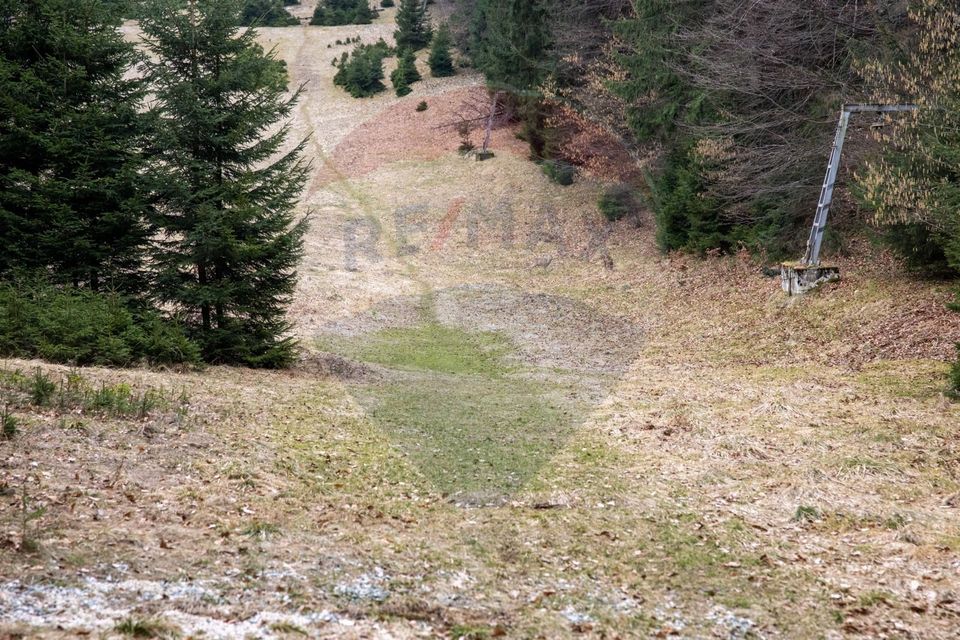 2000 sqm Intravilan Land for Sale in Poiana Brașov! 0% Commission!