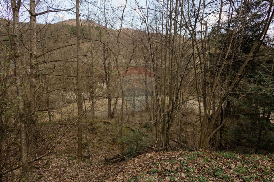 Proprietate unică în Tarcău – 30.283 mp intravilan, casă P+M