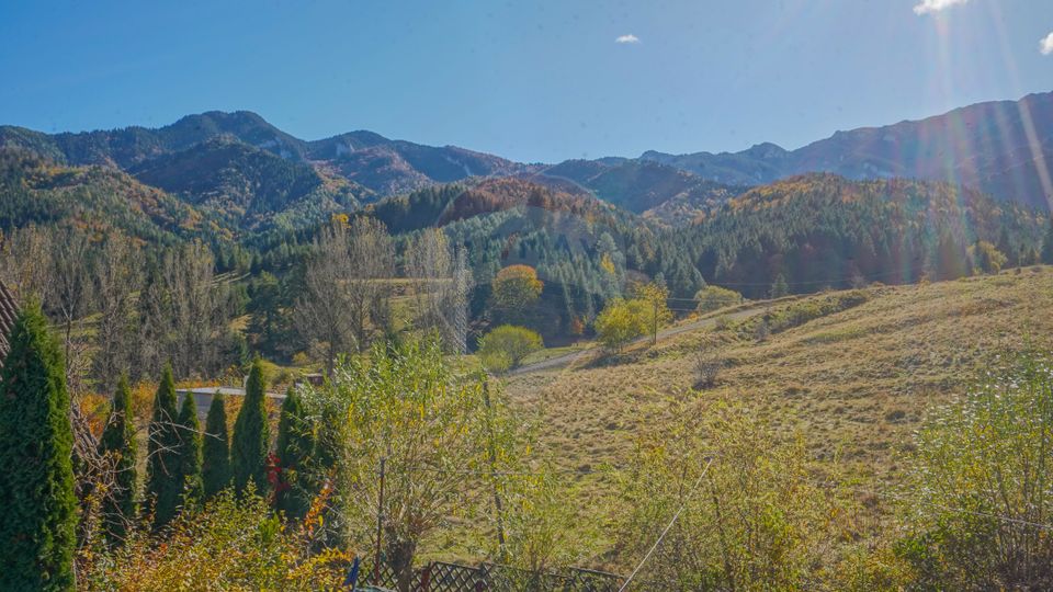 8 room House / Villa for sale