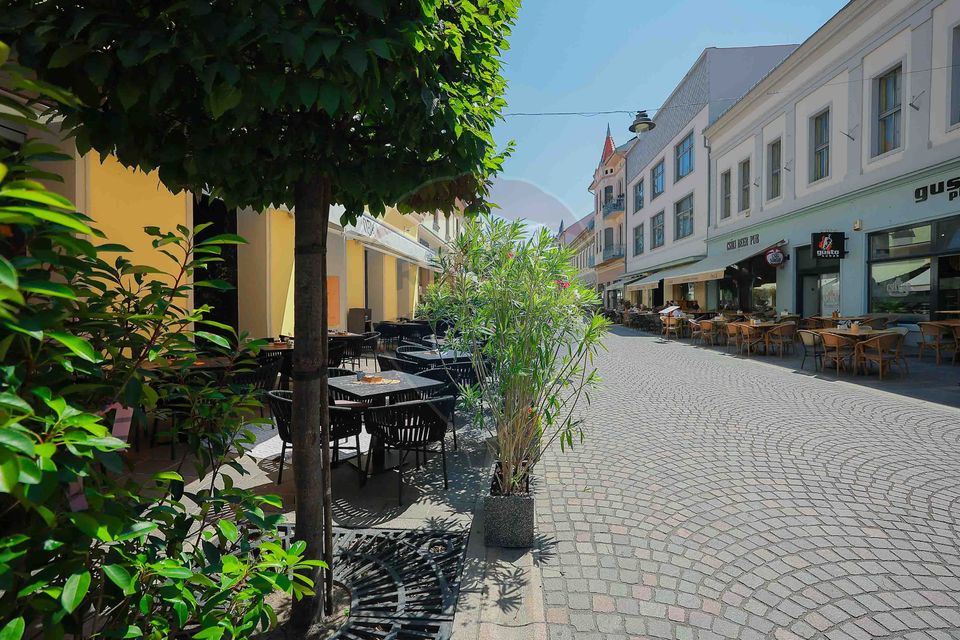 409sq.m Commercial Space for sale, Ultracentral area