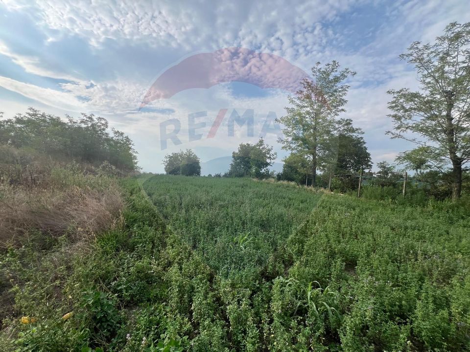 Land 3,888sqm Gologanu / Strada Margaretelor