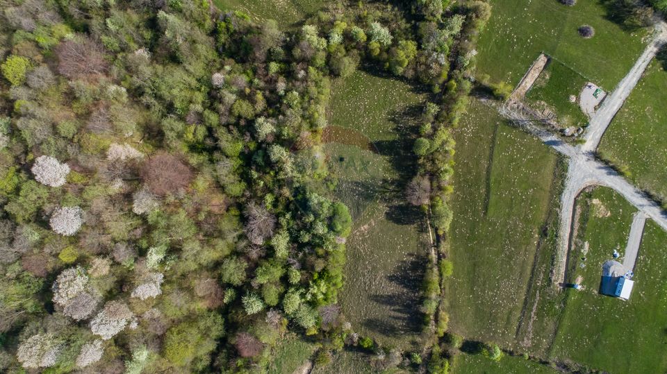 Land 6,800sqm Bran / Strada Tohanita