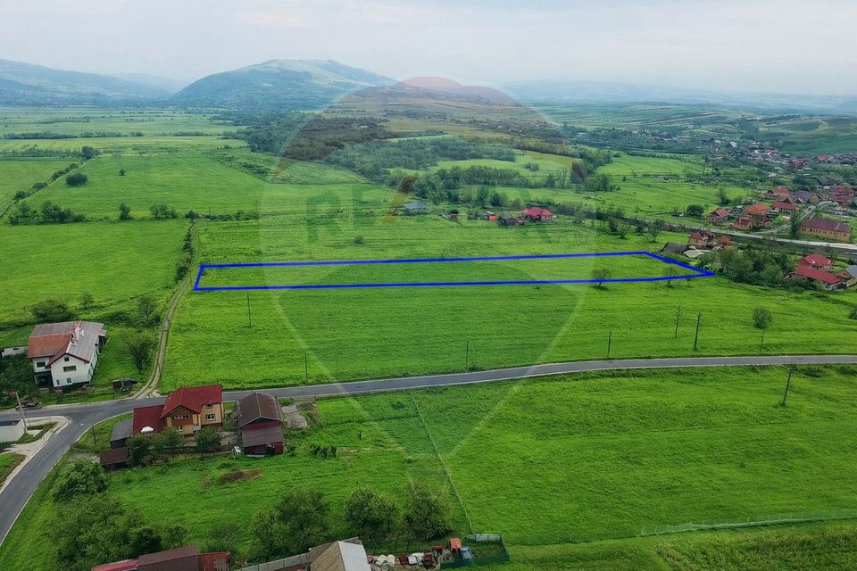 Land 6,956sqm Braisoru / Strada principala