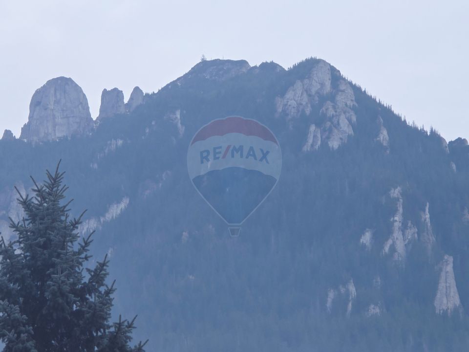 Casa /Vila de vanzare in Durau