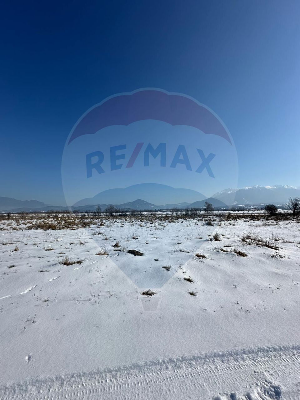 Teren de vânzare – 5000 mp, zona Râșnov – Zărnești