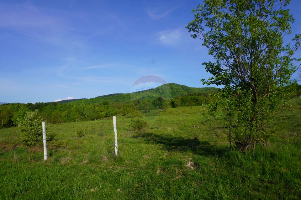 Land 38,592sqm Sighetu Marmatiei / Strada Mocăniței