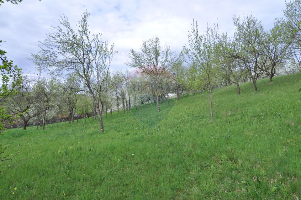 Land 2,811sqm Masca / Strada Principala