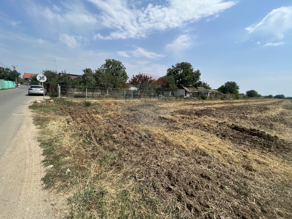 Land 5,085sqm Dragomiresti-Deal / Strada Crizantemelor