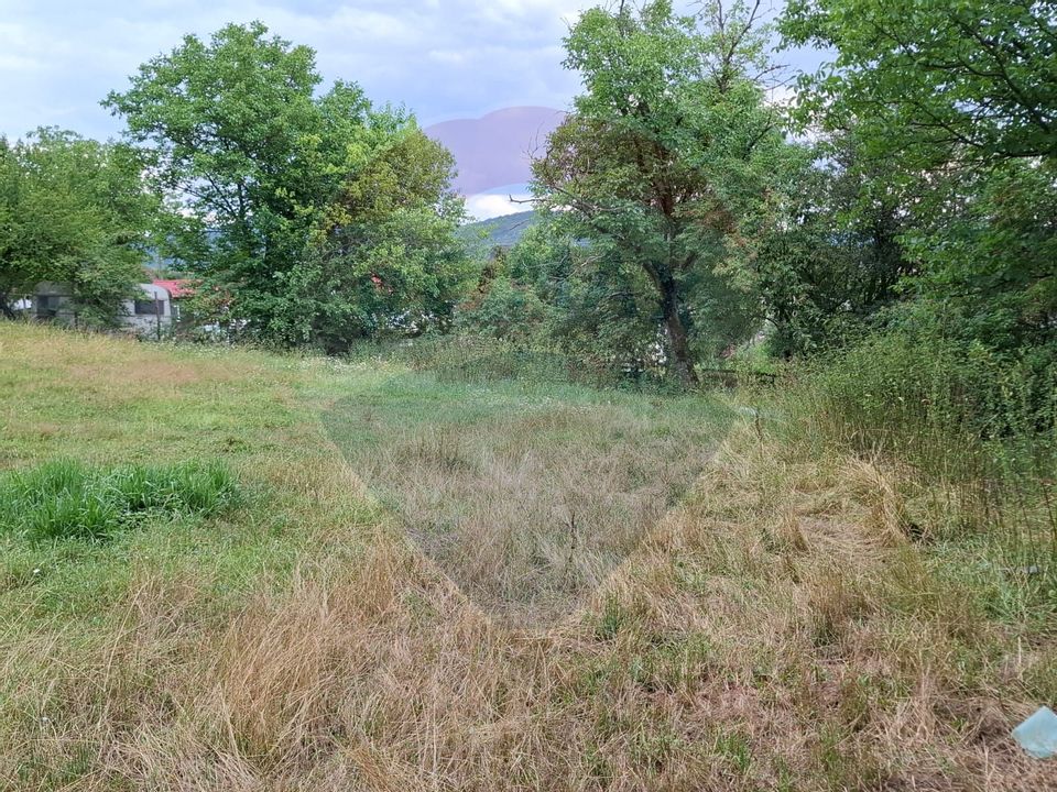 Land 990sqm Barzava / Soseaua Principala