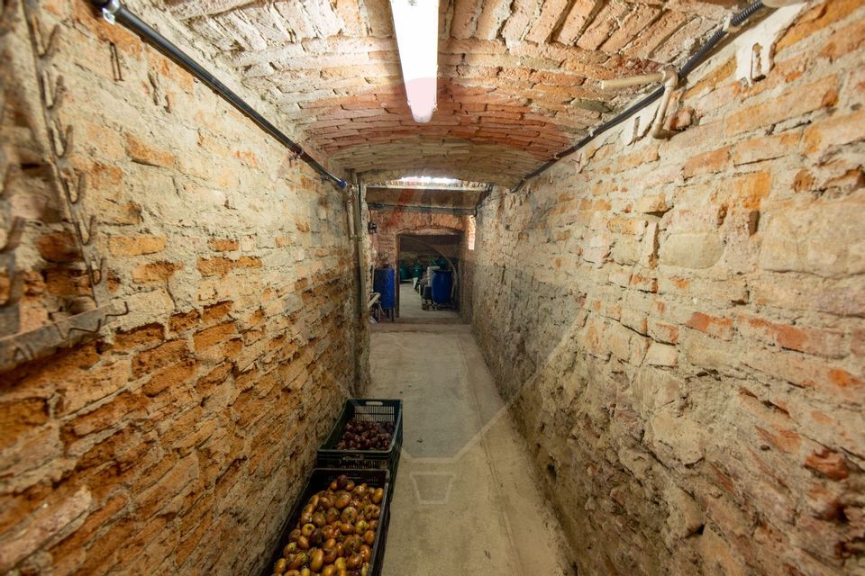 Casă săsească autentică cu livadă și teren generos 2979 mp – Bod