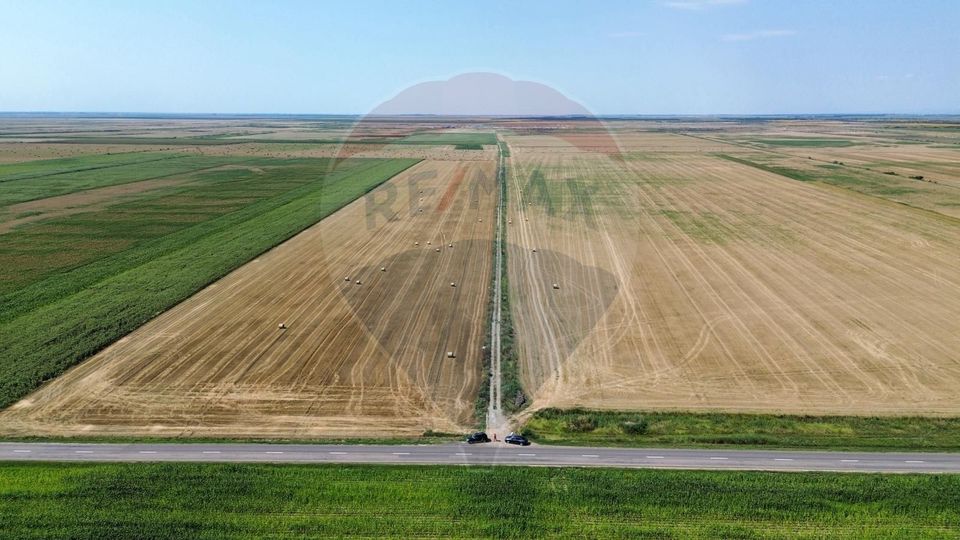 Land 1,486,280sqm Maicanesti / None