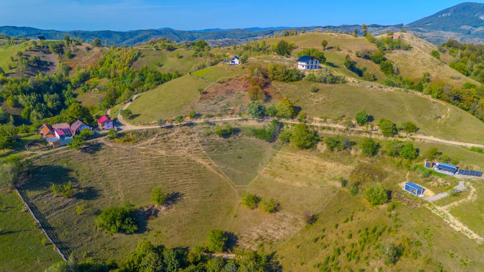 Teren extravilan 6,014mp | Holbav | BRASOV | COMISION 0|