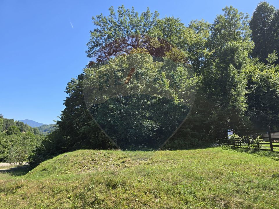 Teren 4,000mp Pascoaia / Soseaua Punctul Chiliilor