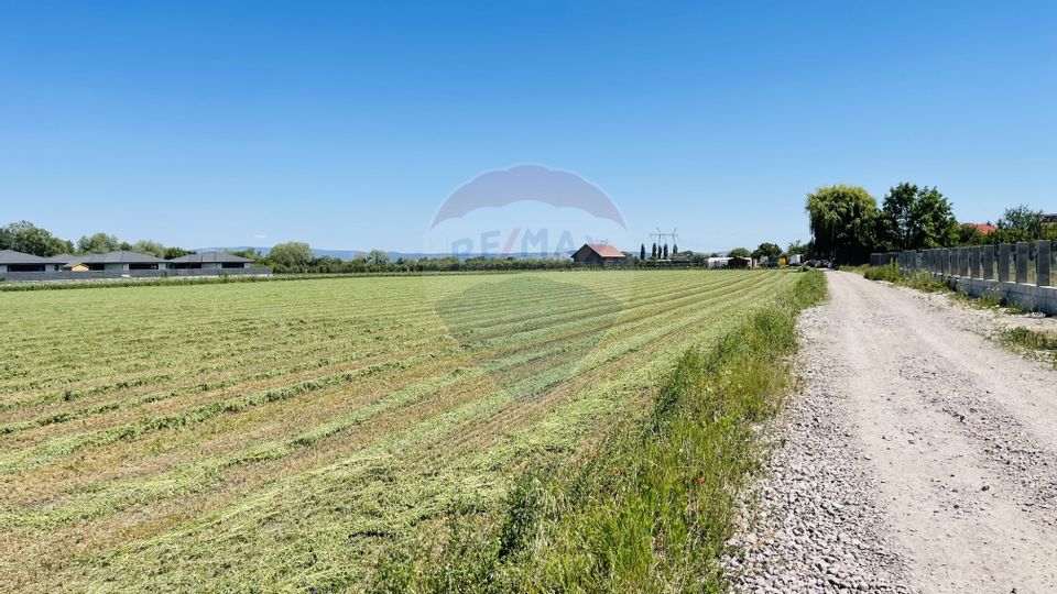 Teren intravilan 10.000 mp în Stupini, Brașov