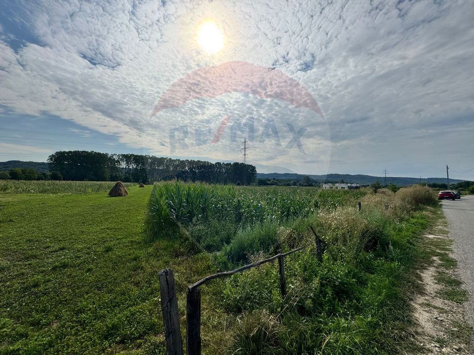 Teren de vânzare – Valea Bradului, oportunitate de investiție!