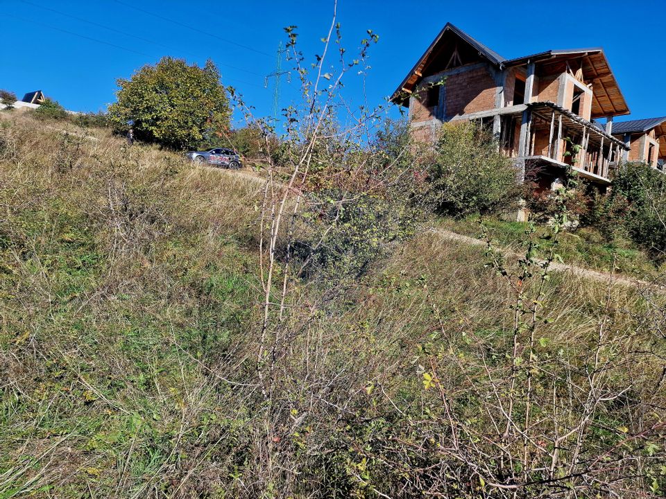 Land 1,201sqm Piatra-Neamt / Strada Punct chiclau sarata