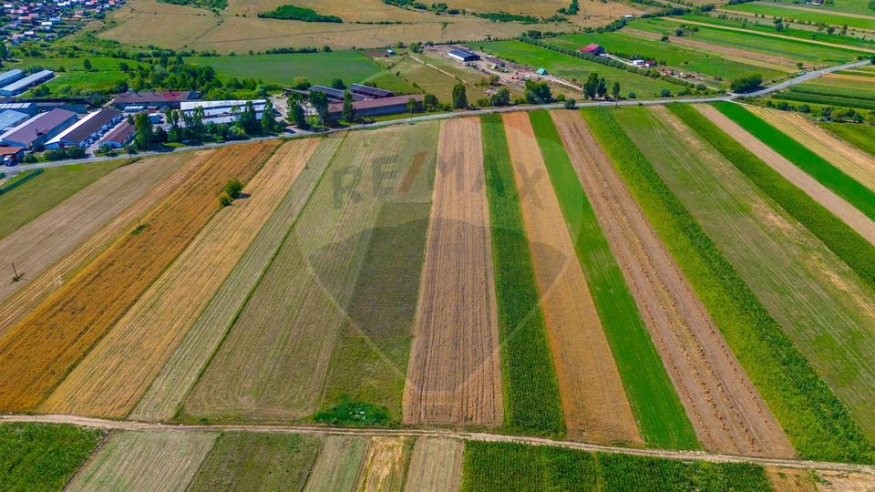 Land 7,000sqm Teliu / DJ 103B