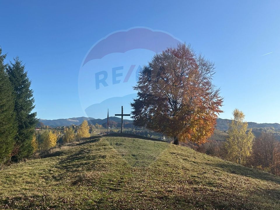 Investment opportunity ! Dream land in Pestera - 125,370 sqm