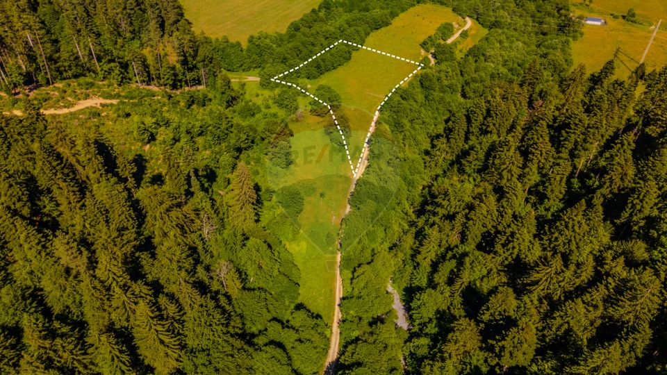 Teren 7300mp Sacele -zona Brădet/ Intravilan/ COMISION 0%