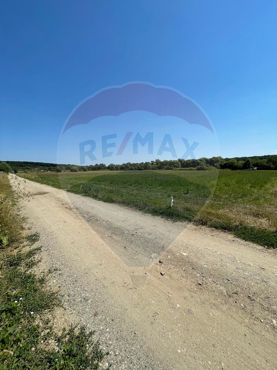 TEREN  INTRAVILAN  5000mp ORAS CISNADIE  STR. SELIMBARULUI