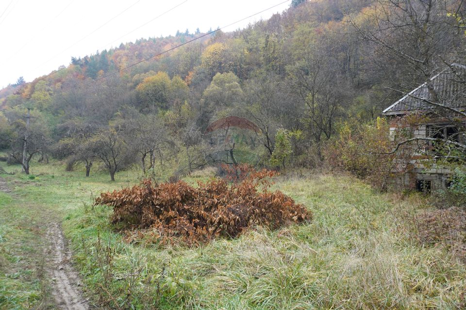 Land 35,232sqm Sighetu Marmatiei / Strada Valea Cufundoasa