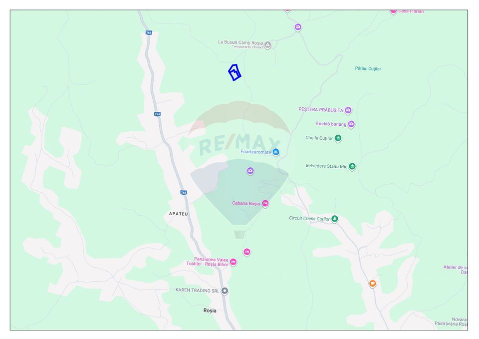 Land 10,059sqm Rosia / Strada Principala