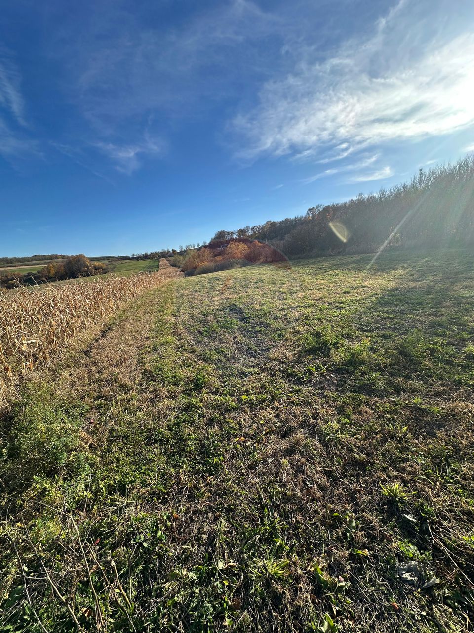 Land 6,446sqm Bogdand / Intrarea Babta