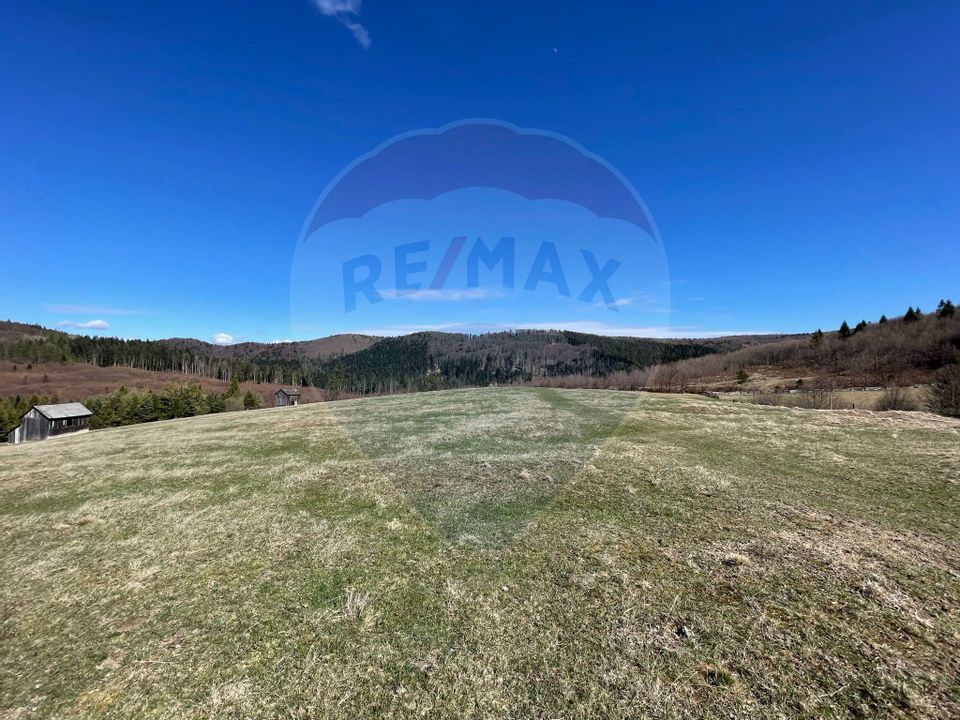 Land 49,922sqm Manastirea Humorului / None