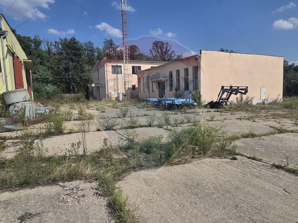 Spațiu industrial 15435 mp. de vânzare in Tinca.