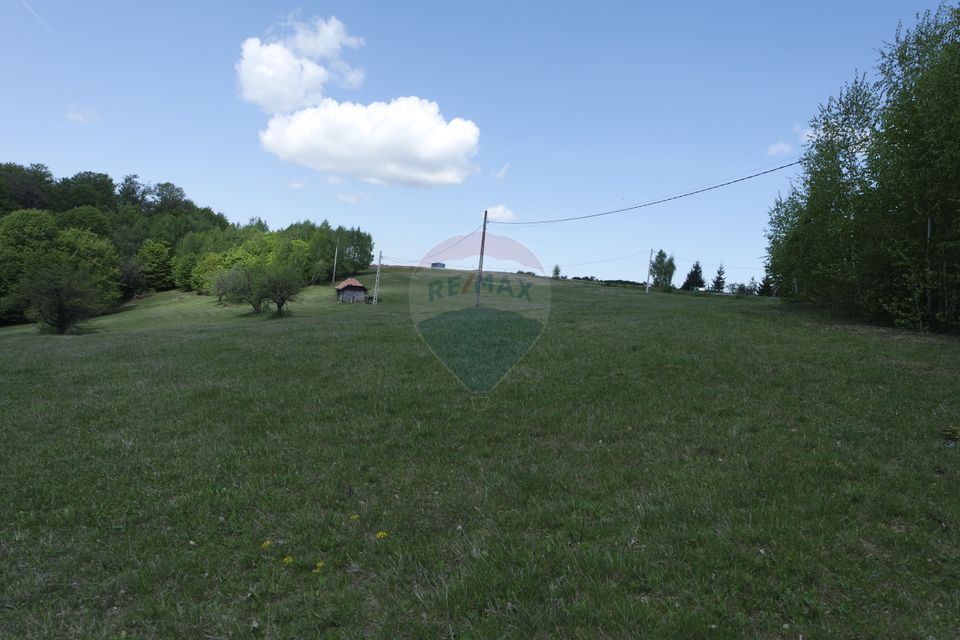 TEREN DE VÂNZARE ÎN PRELUCA NOUA