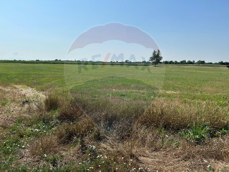 Land 20,561sqm Salonta / Strada ORADIEI