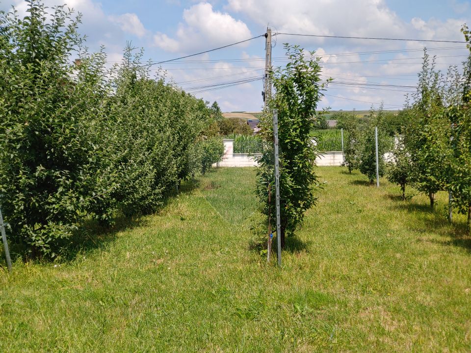 Casă / Vilă de lux cu 5 camere de vânzare în Vadu Moldovei, Suceava