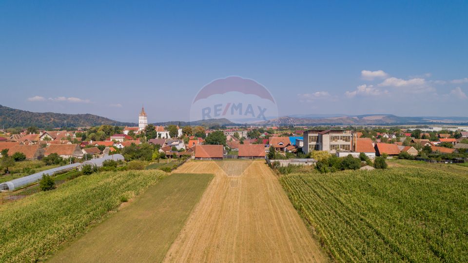 Land 3,203sqm Harman / Strada Preot dumitru greceanu