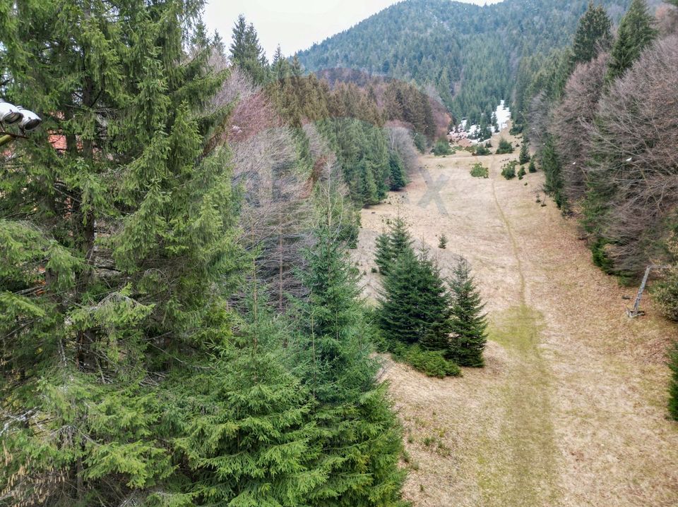 2000 sqm Intravilan Land for Sale in Poiana Brașov! 0% Commission!