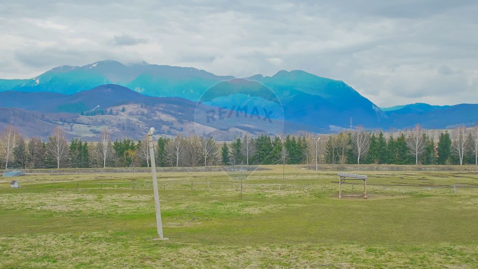 Complex Turistic Panicel, DN73A